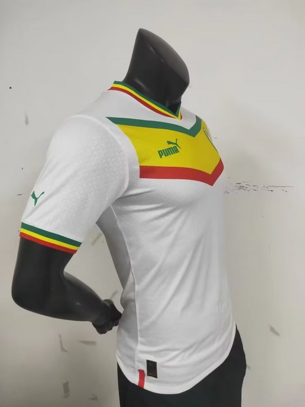 2022 Senegal home